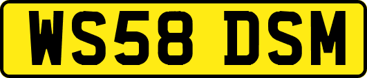 WS58DSM