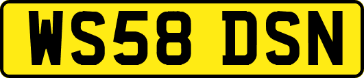 WS58DSN