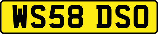 WS58DSO