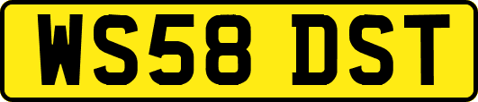 WS58DST