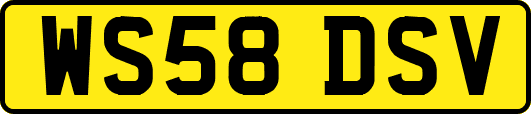 WS58DSV