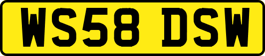 WS58DSW