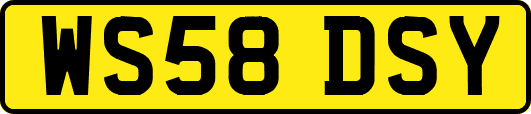 WS58DSY