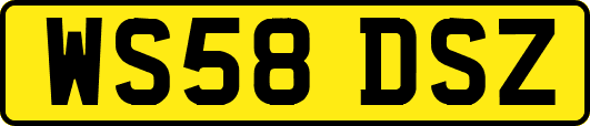 WS58DSZ
