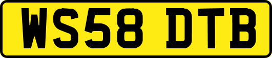 WS58DTB