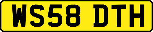 WS58DTH