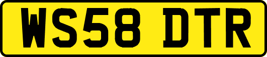WS58DTR