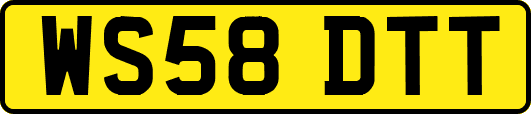 WS58DTT