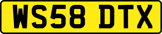WS58DTX
