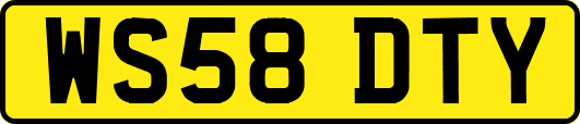 WS58DTY