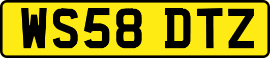 WS58DTZ