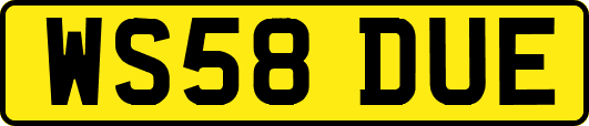 WS58DUE