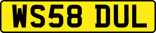 WS58DUL