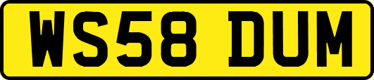 WS58DUM