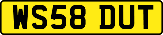 WS58DUT