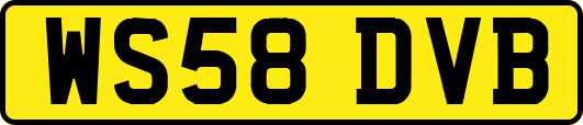 WS58DVB