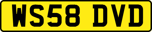 WS58DVD