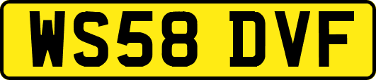 WS58DVF