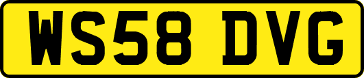WS58DVG