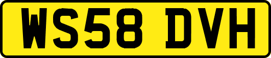 WS58DVH