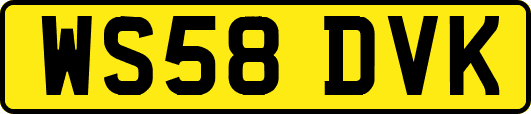 WS58DVK