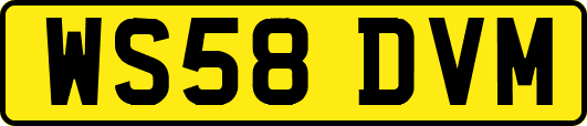 WS58DVM