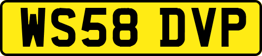 WS58DVP