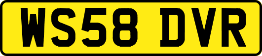 WS58DVR