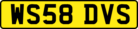 WS58DVS