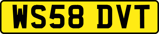 WS58DVT