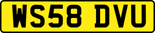 WS58DVU