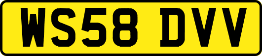 WS58DVV