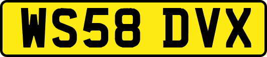 WS58DVX