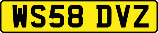 WS58DVZ