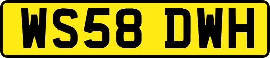 WS58DWH