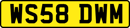 WS58DWM
