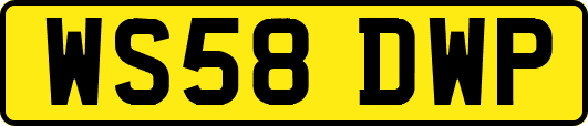WS58DWP