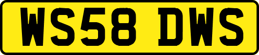 WS58DWS