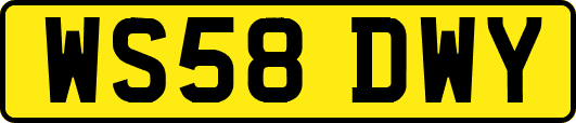 WS58DWY