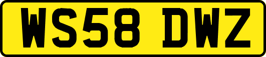 WS58DWZ