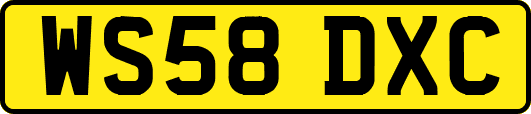 WS58DXC