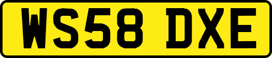 WS58DXE