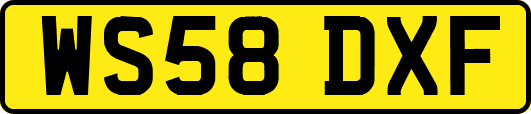 WS58DXF