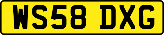WS58DXG