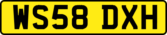 WS58DXH