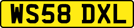 WS58DXL