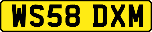 WS58DXM