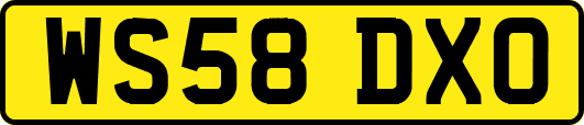 WS58DXO