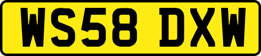 WS58DXW