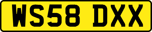 WS58DXX